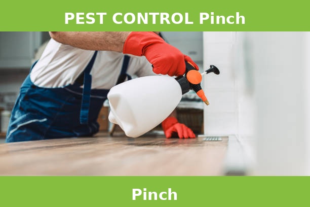 PEST CONTROL Pinch